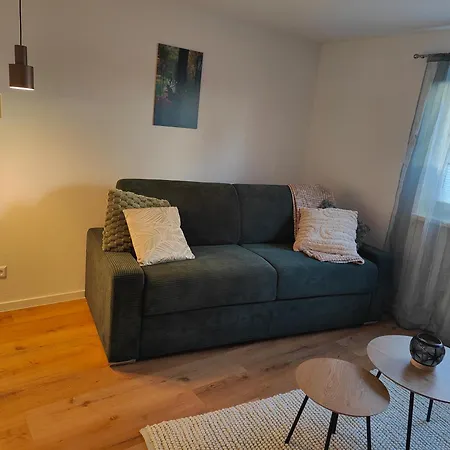 Cozy Modern In Near Europa Park