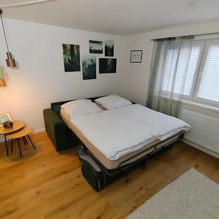 Lägenhet Cozy Modern In Near Europa Park Seelbach (Baden-Wurttemberg)